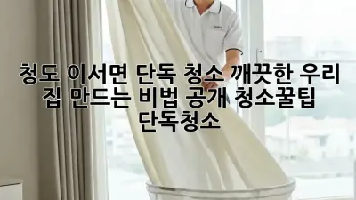 청도 이서면 단독 청소🧹, 깨끗한 우리 집✨ 만드는 비법 공개! #청소꿀팁 #단독청소